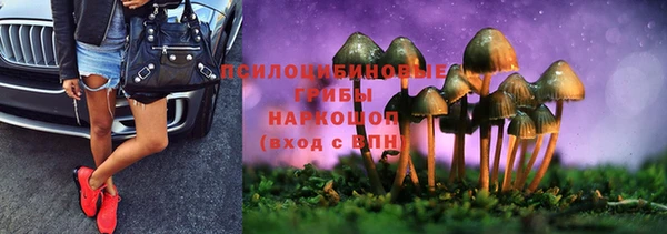 бошки Алзамай