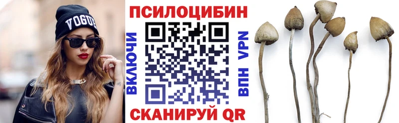 Псилоцибиновые грибы ЛСД  Сосновка 