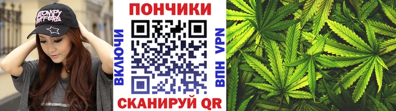 Шишки марихуана марихуана  Сосновка 